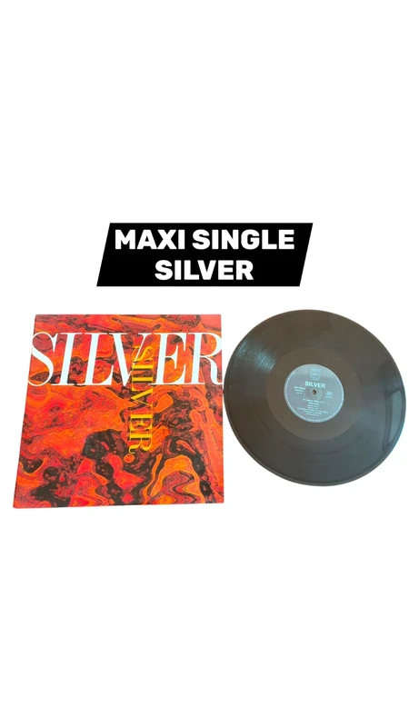 Disque Maxi 45 Tours Vinyle 12 " Silver If I Had a Time eurodance electro house