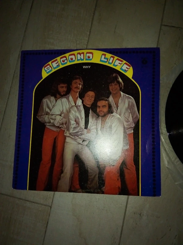 lotto vinili 33 giri lp disco album rock pop blues jazz
