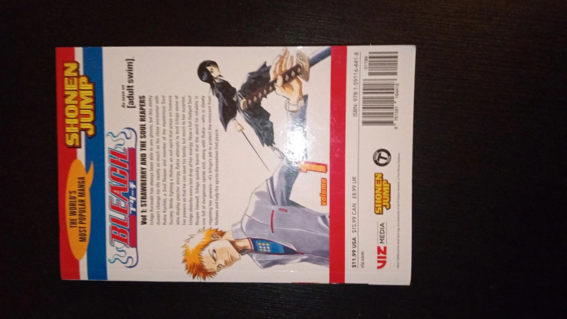 Bleach vol1