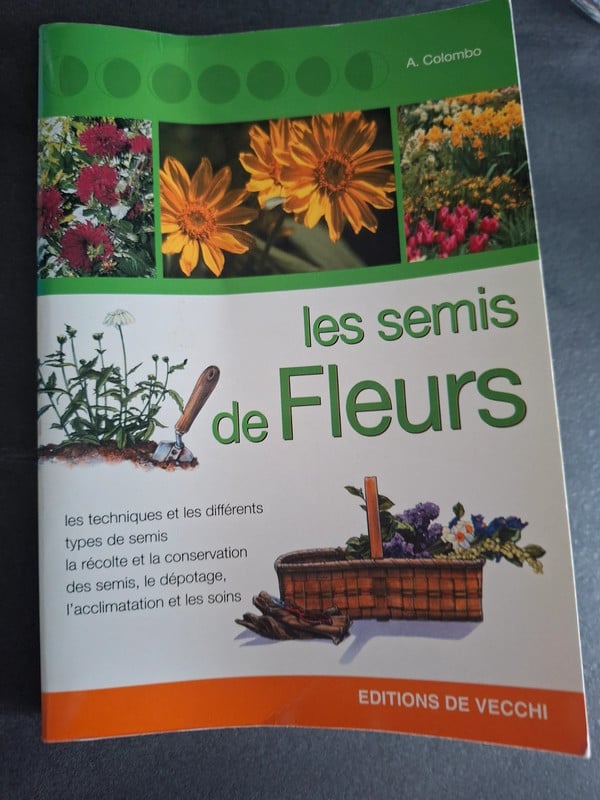 Les semis de fleurs
