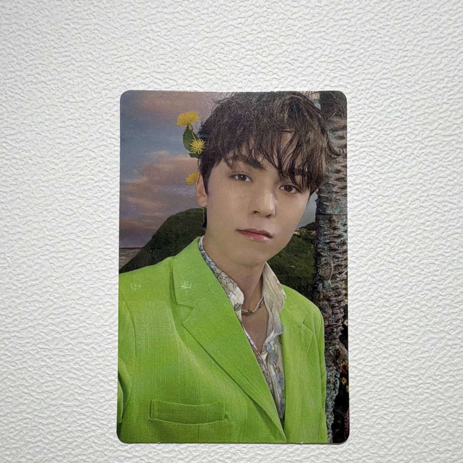 Seventeen Vernon sector 17 photocard