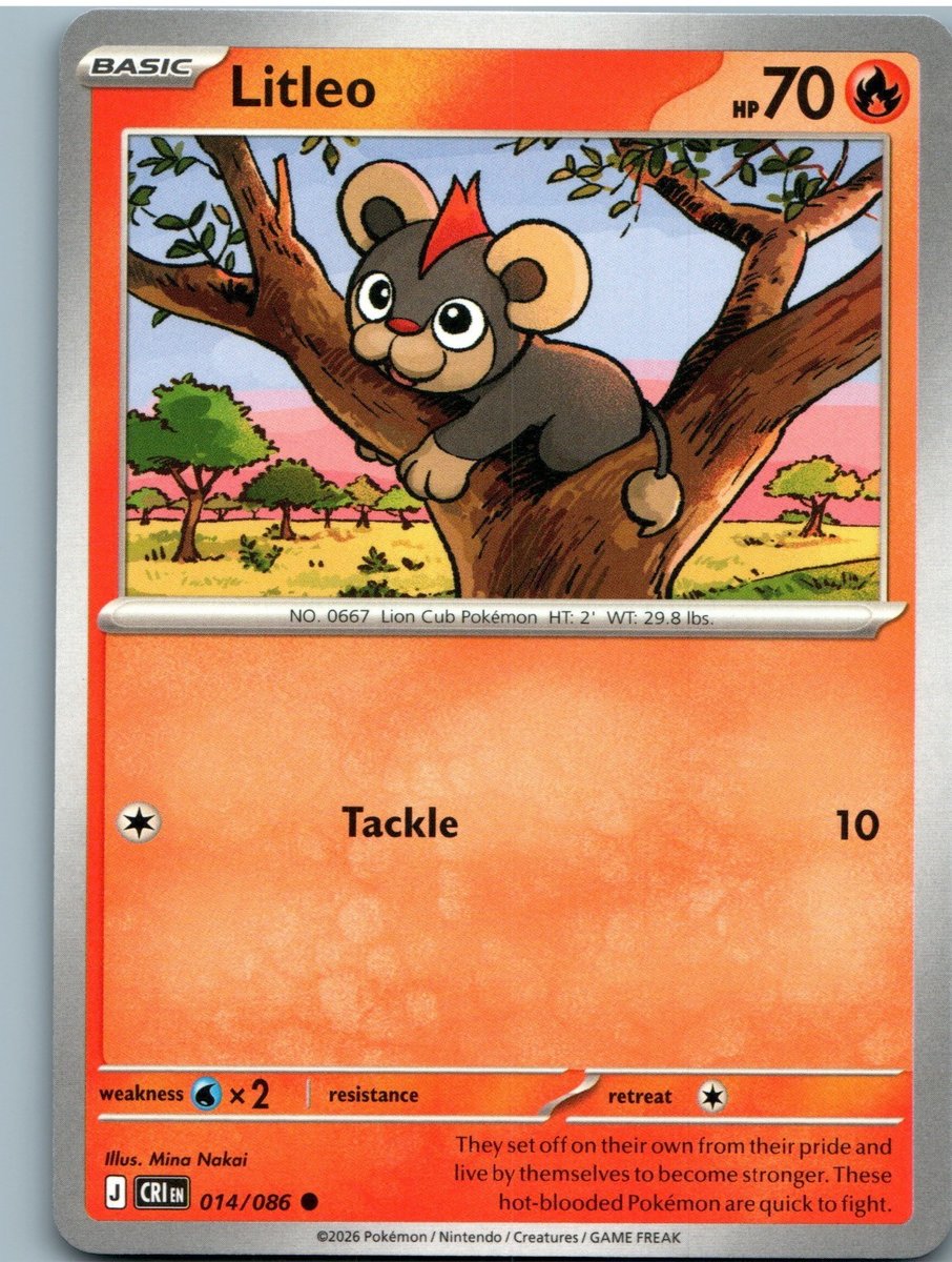 Pokemon Litleo 014/086 Common Chaos Rising quasi nuovo