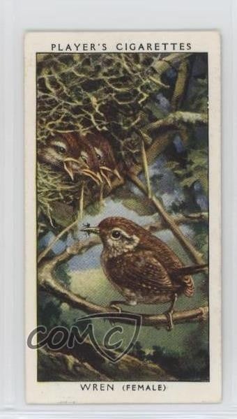 1937 Player's Birds & Their Young Tabacco Wren #49 2p7