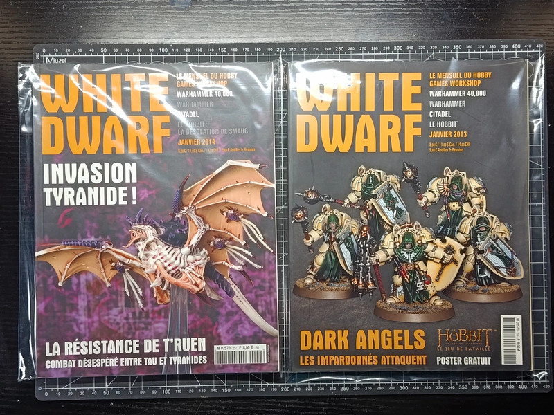 Lote 2 Revistas White Dwarf en Francés, nº 225 y nº 237