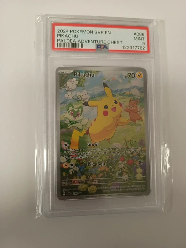 Pokemon