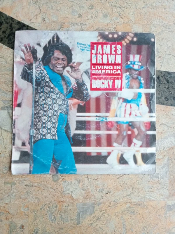 James Brown living in America Rock iv