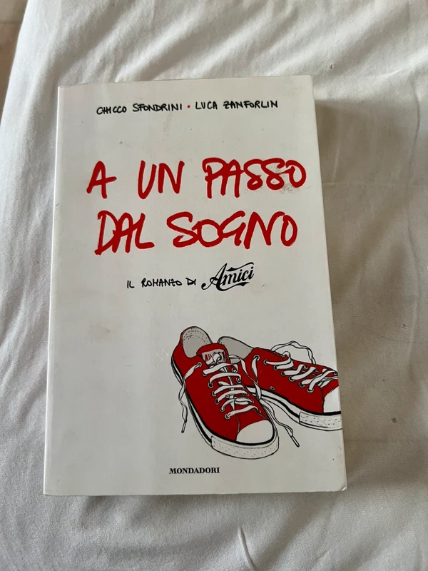 Zanforlin Il romanzo di Amici