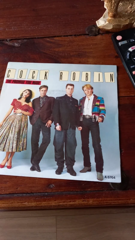 Vinyl (45t) cock robin "the promised you made"