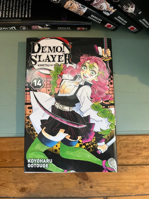 Manga Demon Slayer 14