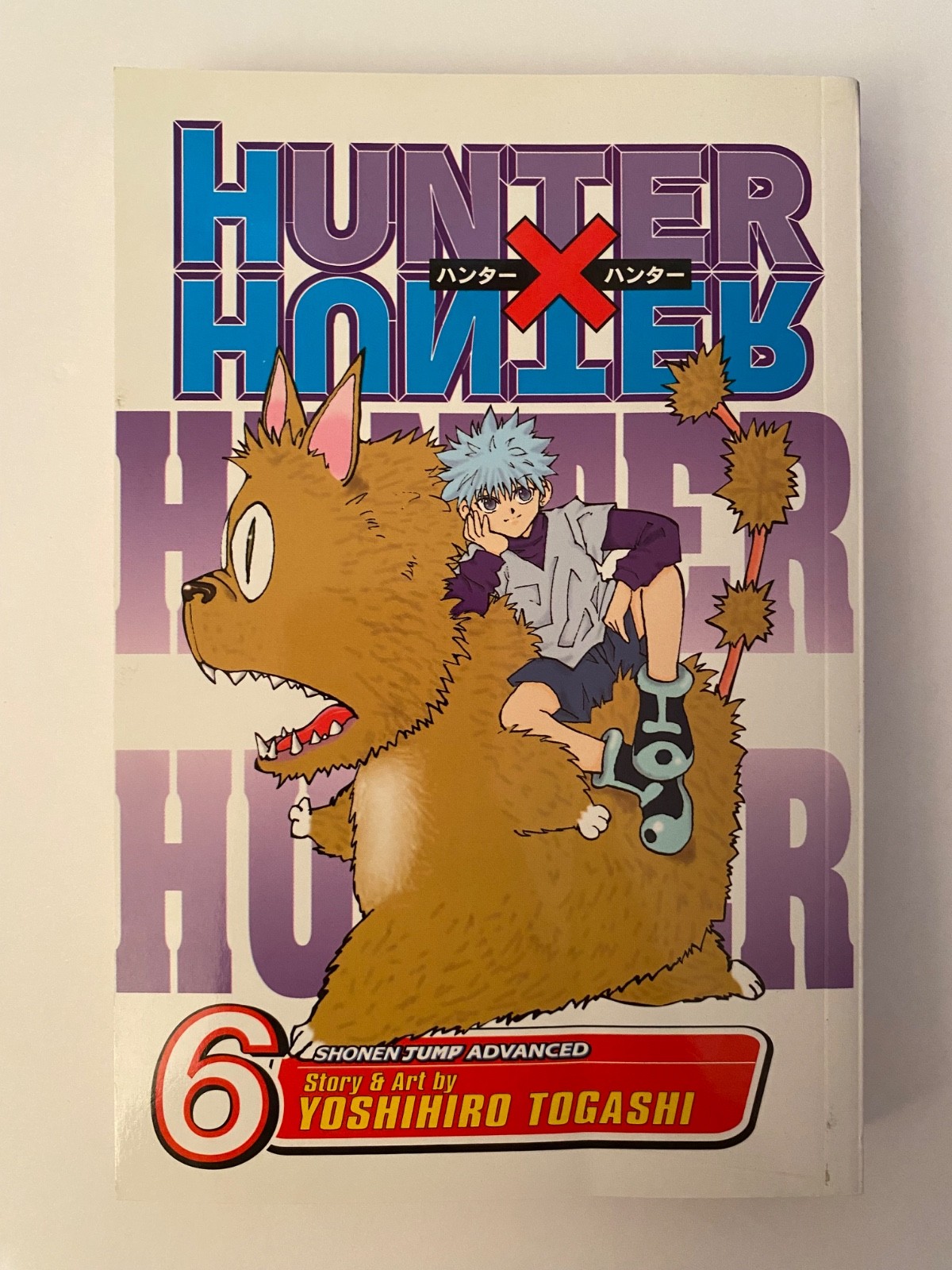 Hunter x Hunter Manga Vol. 6 - Inglese - Shonen Jump VIZ Media