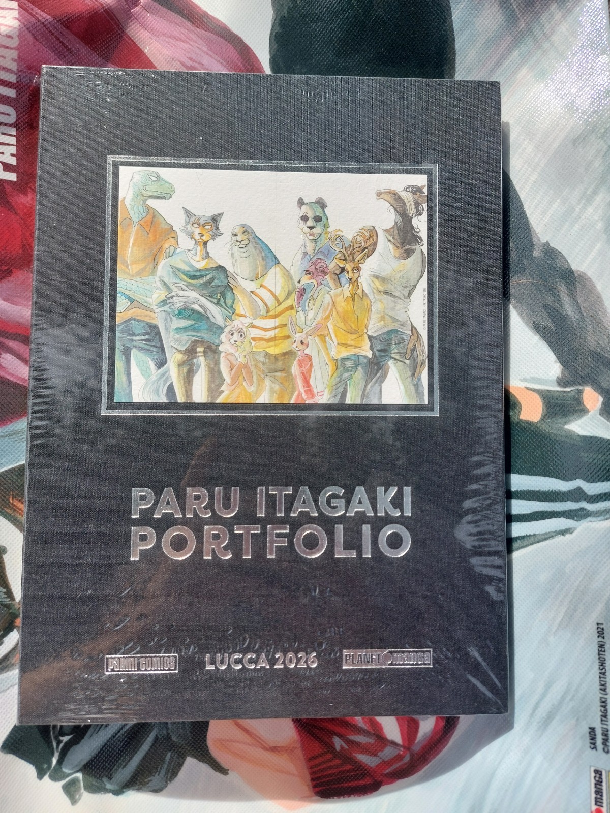 Portfolio Paru  Itagaki esclusiva Lucca 2026