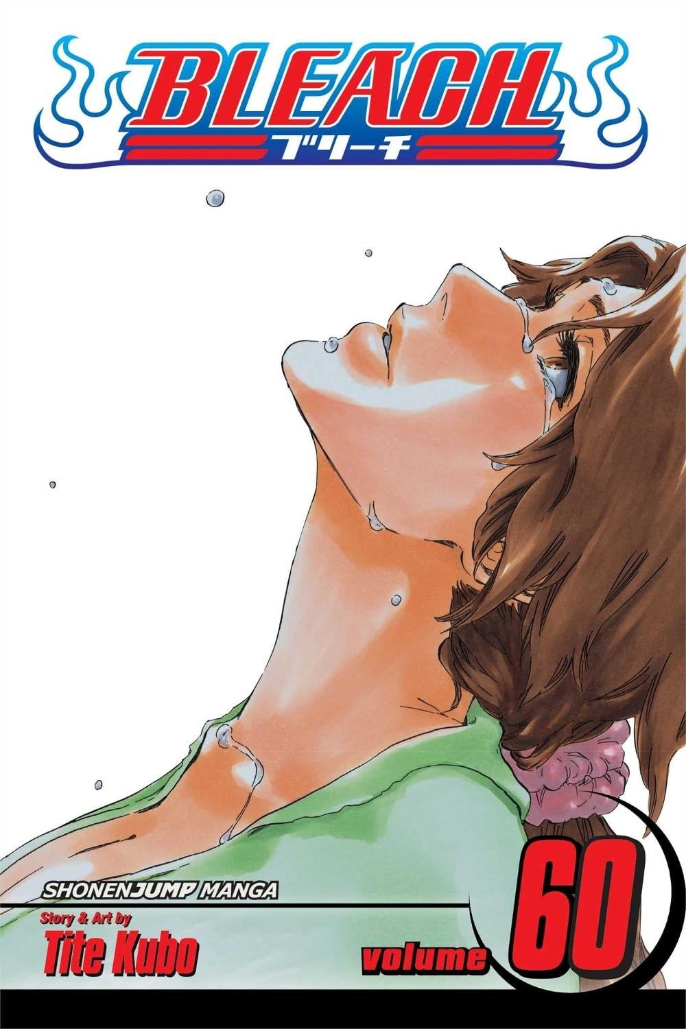Candeggina, vol. 60: Tutto tranne la pioggia di Tite Kubo (inglese) libro tascabile