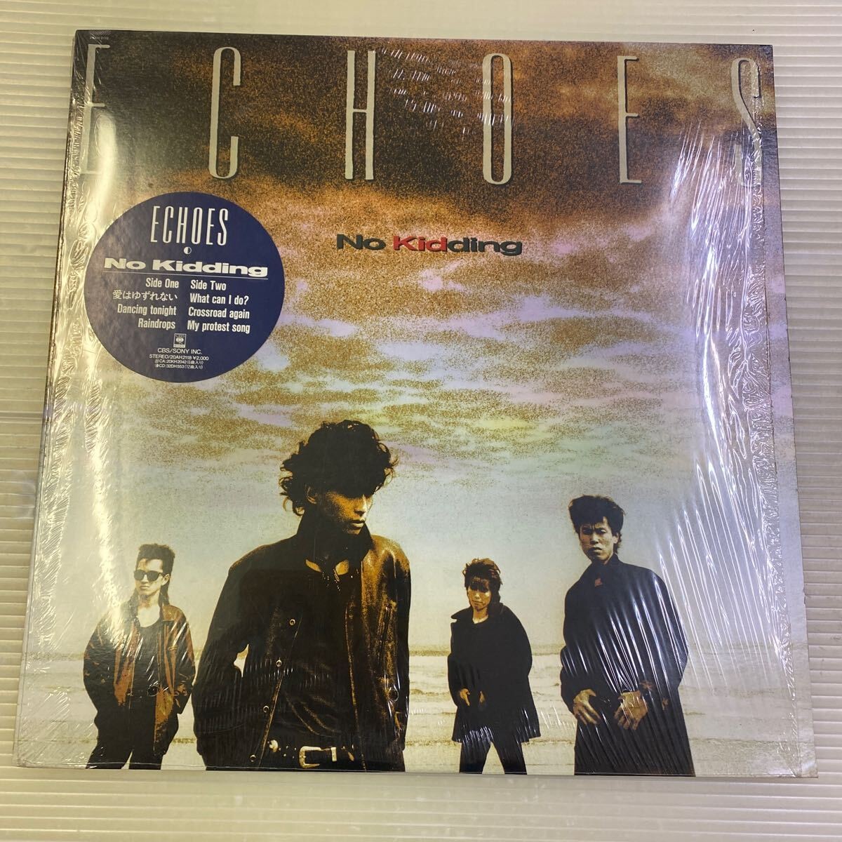 Echoes Hitonari Tsuji No Kidding LP Vinyl Record 20AH-2118