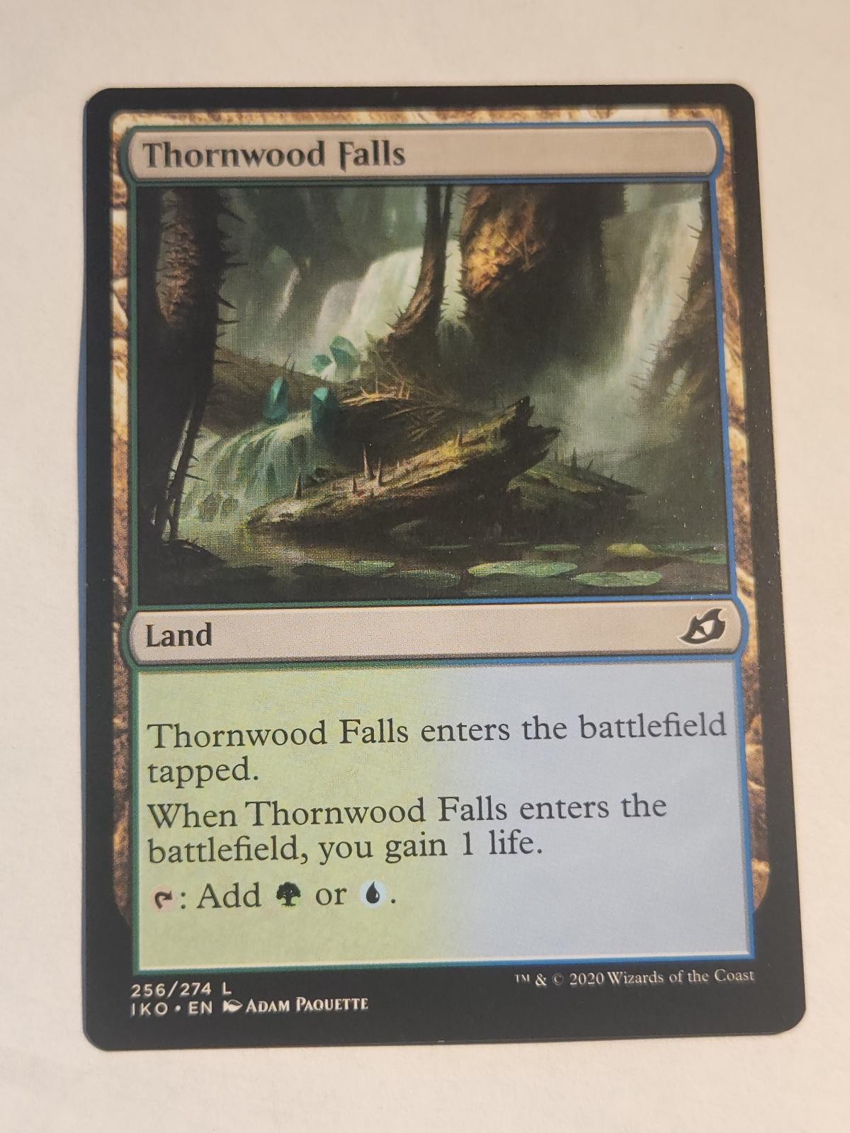 Thornwood Falls 256 Ikoria: Tana dei Behemoth Magic: The Gathering Land LP