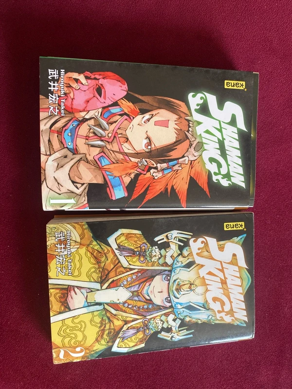 Lot de deux manga