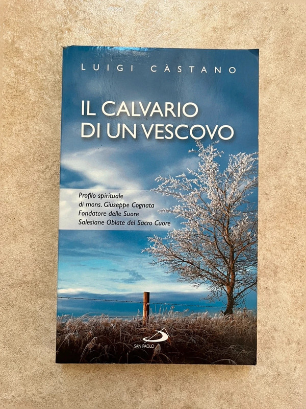 Il calvario di Un Vescovo di Luigi Castano San Paolo