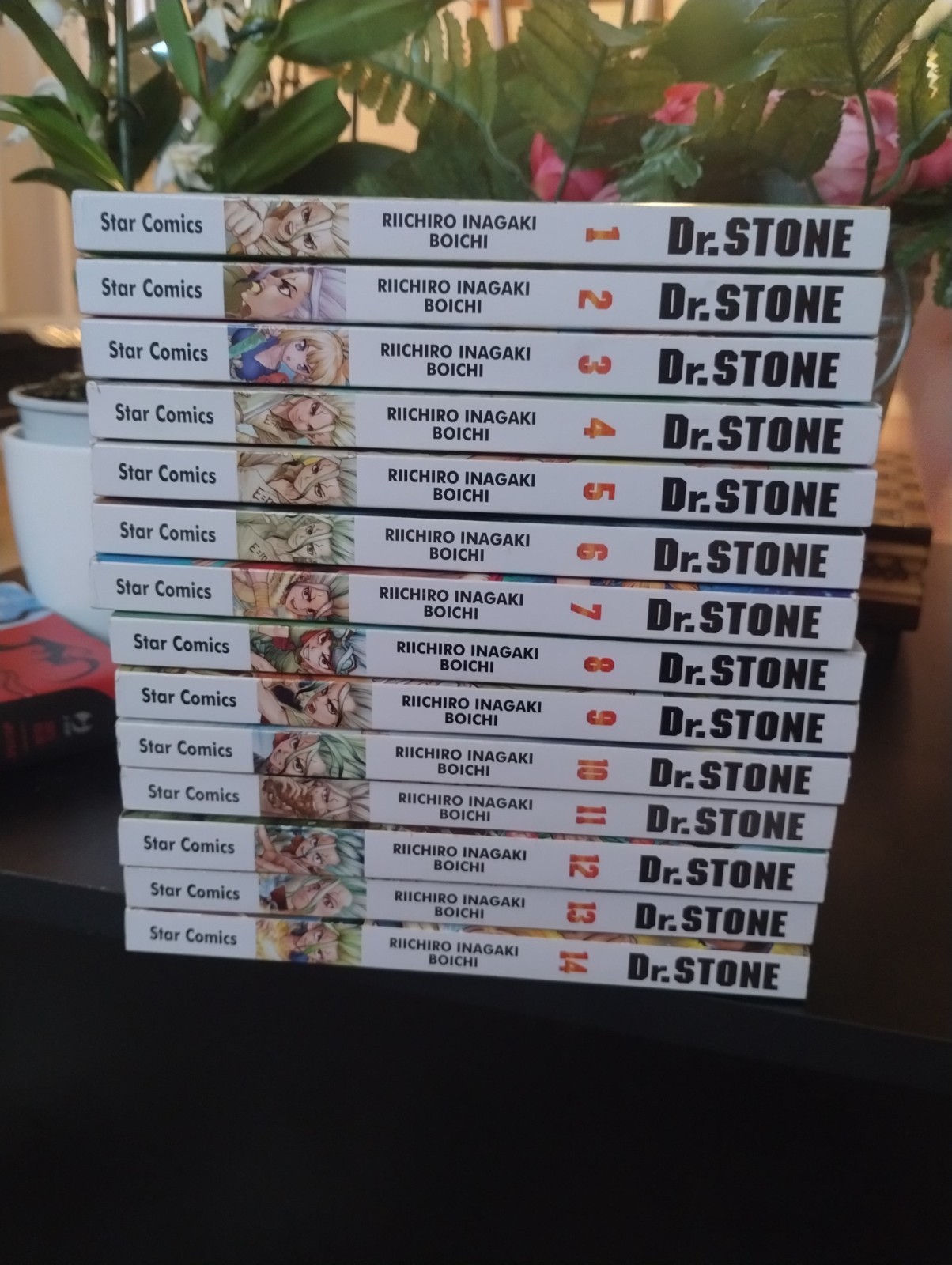 Manga DR. STONE - Serie dal n.1 al n.14
