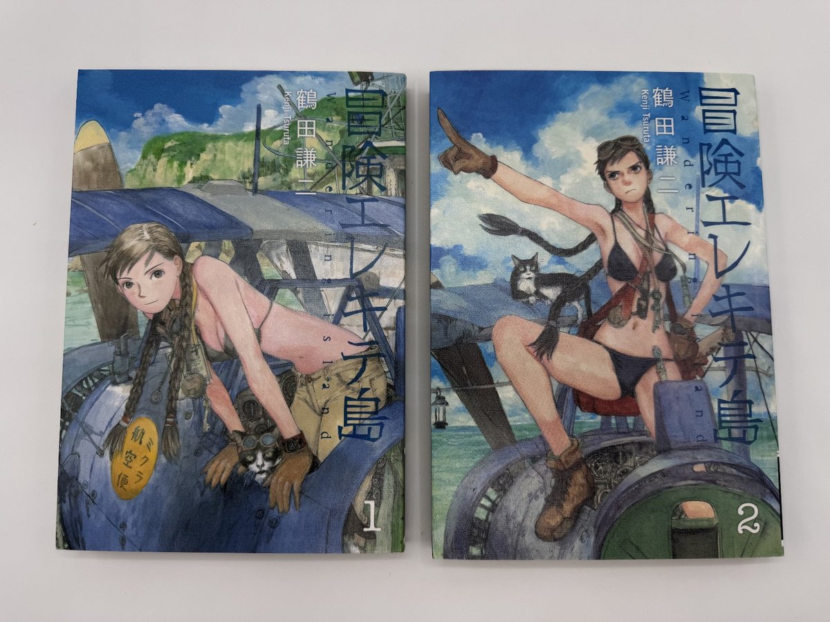 Fuori Produzione Wandering Island Manga Set Kenji Tsuruta Emanon Volume 1 e 2 Dark Horse