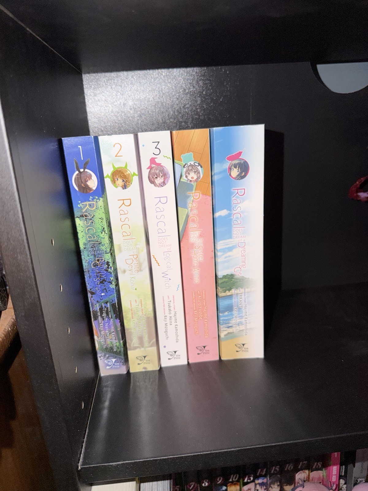 Il mascalzone non sogna vol. Set manga 1-5 inglese