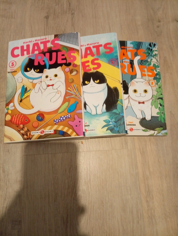 Manga, chat des rues tome 1,2 et 3