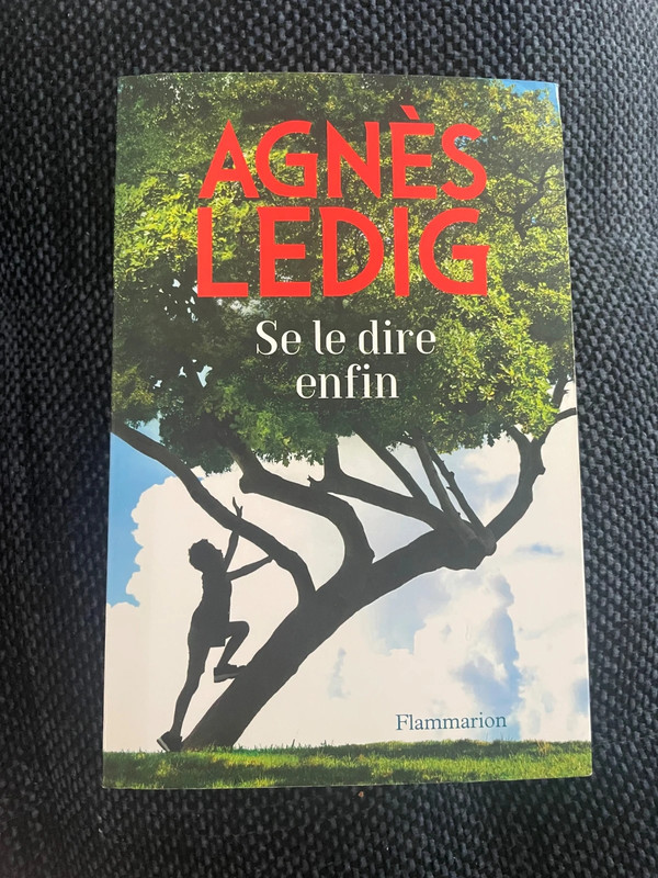 Livre Agnès Ledig se le dire enfin