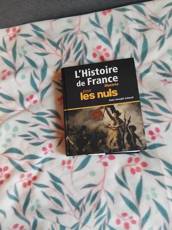 l'histoire de france pour les nuls