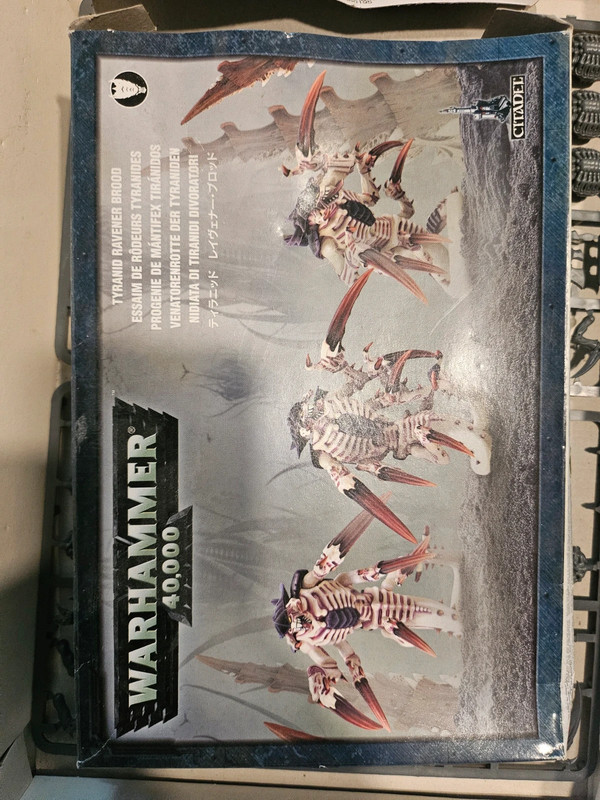WH40K Tirandi divoratore sprou