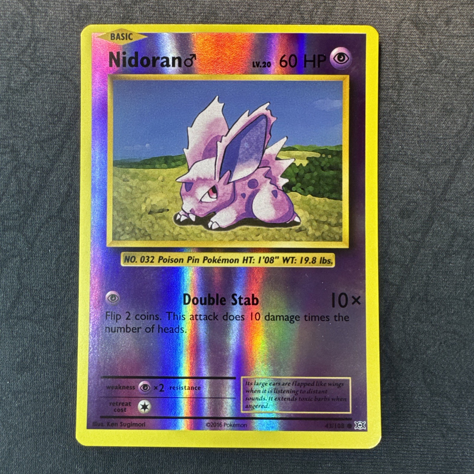 Nidoran M 43/108 Evolutions Reverse Holo XY Pokemon MJ