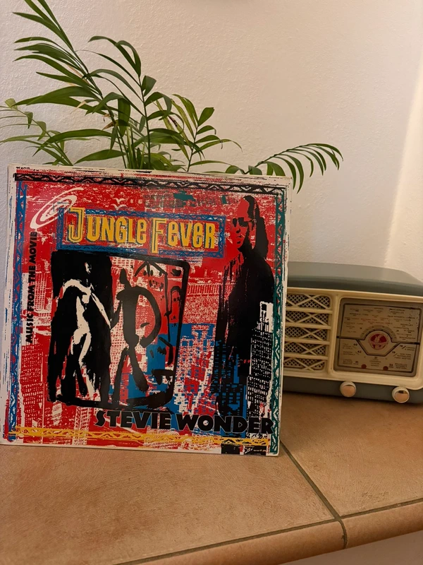Vinile Stevie Wonder