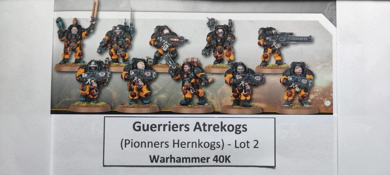 10 Guerriers atrekogs (Pioneers Hernkogs) - Lot 2 - 40K