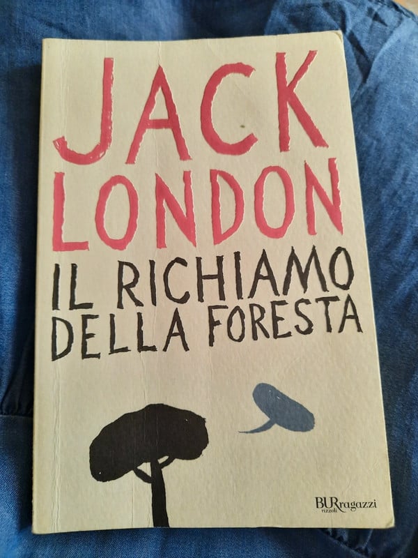 Libro per ragazzi