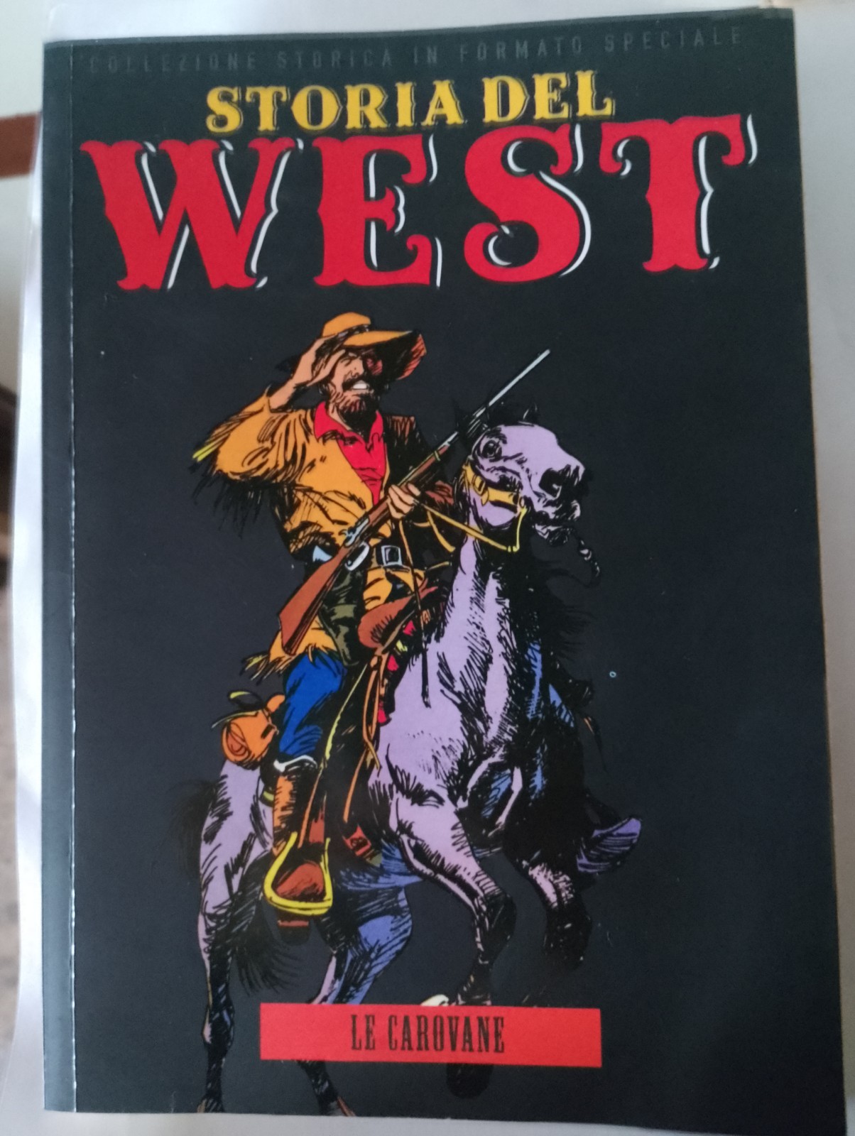Storia del West: Le Carovane - Piccola biblioteca del Sole 24ore N. 31/2012
