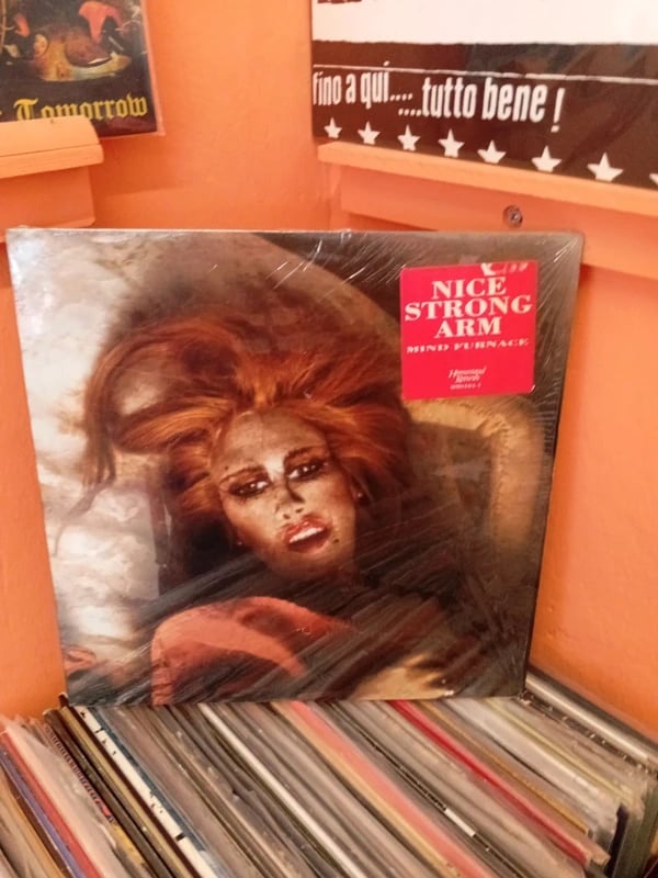 Nice Strong Arm mind furnace LP vinile