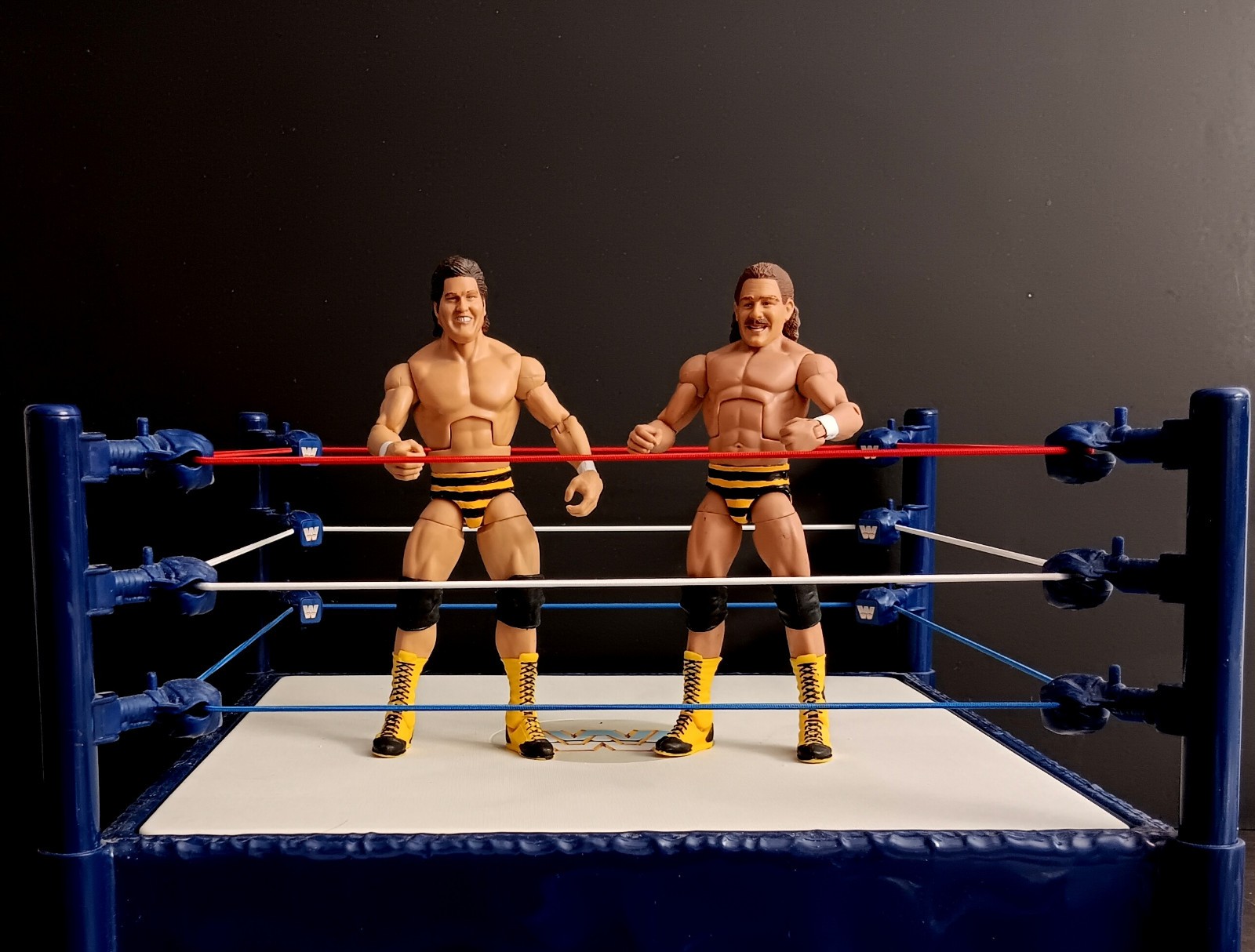 THE KILLER BEES BLAIR BRUNZELL WWE CUSTOM MATTEL ELITE FIGURE leggenda classica wcw