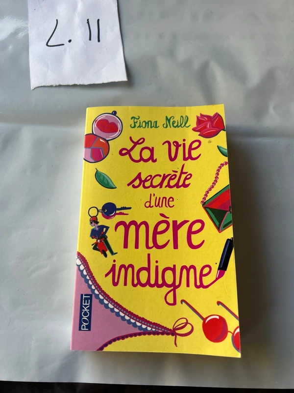 Livre pocket la vie secrète d’une mère indigne de Fiona Neill