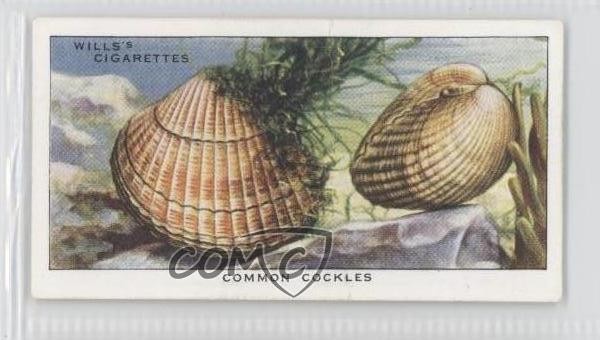 1938 Wills The Sea-Shore Tabacco Cockles comuni #8 1s8
