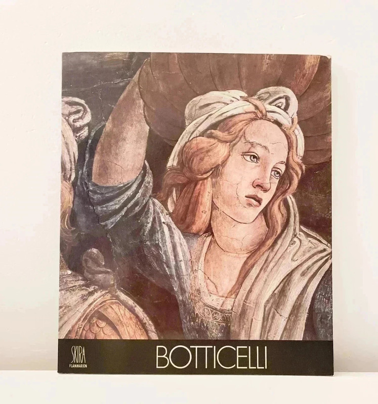 Botticelli Skira Flammarion Livre d'Art Art Book Peinture Renaissance Argan 1989