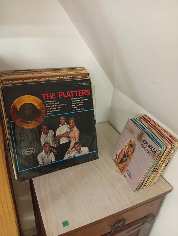 Vinyle 33 et 45 tours