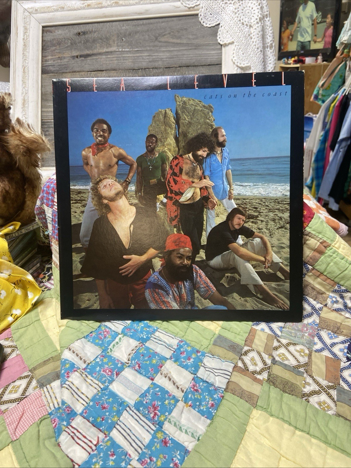 SEA LEVEL "Cats On The Coast" Debut LP Original 1977 Capricorn All Original
