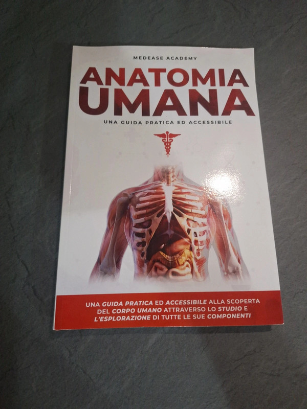 Anatomia Umana mediamente academy