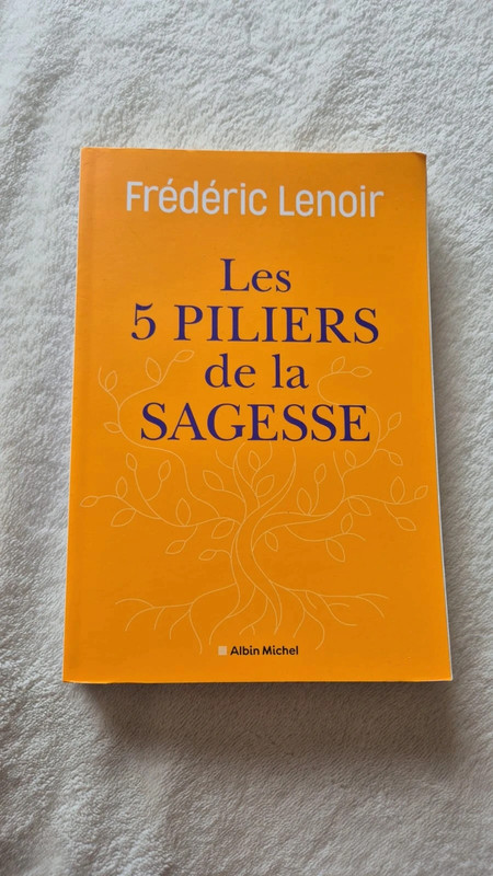 Livre "Les 5 piliers de la sagesse"