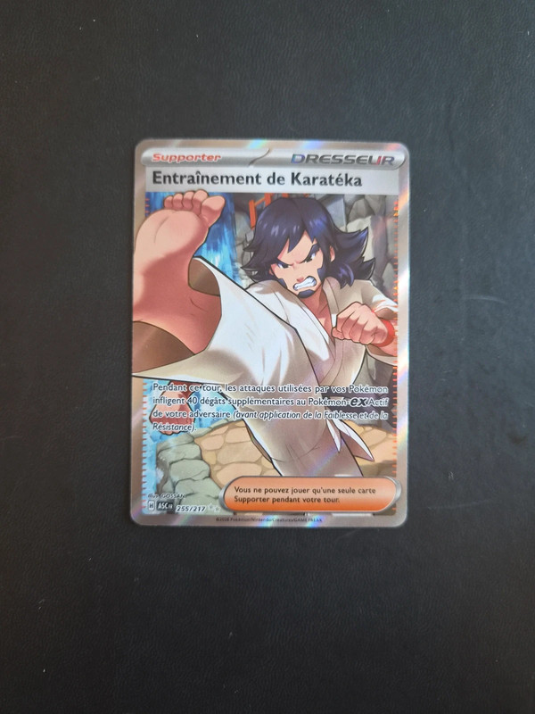 Pokémon Dresseur Entrainement de Karatéka 255/217