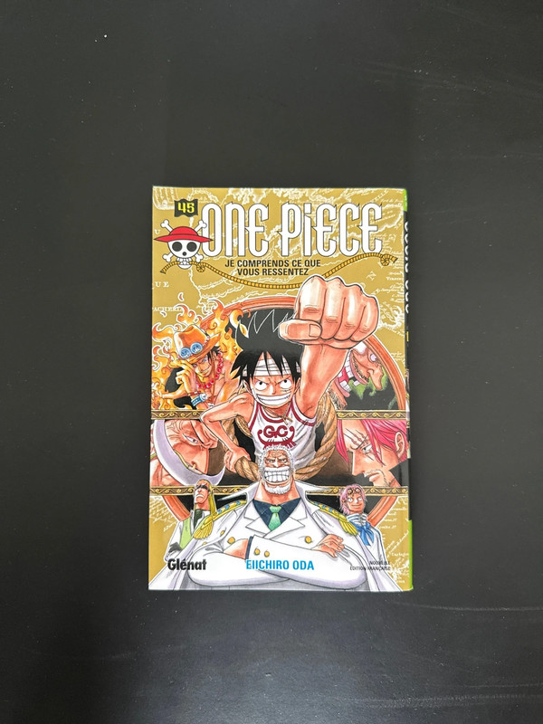 One piece tome 45