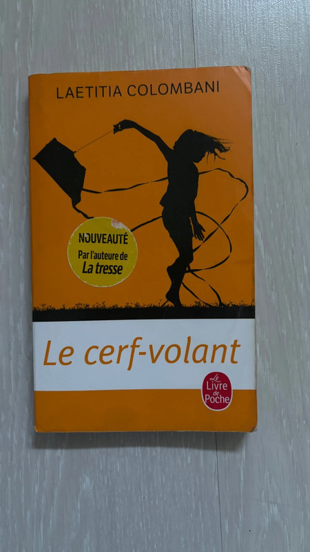 Livre : roman « Le cerf-volant » de Laetitia Colombani
