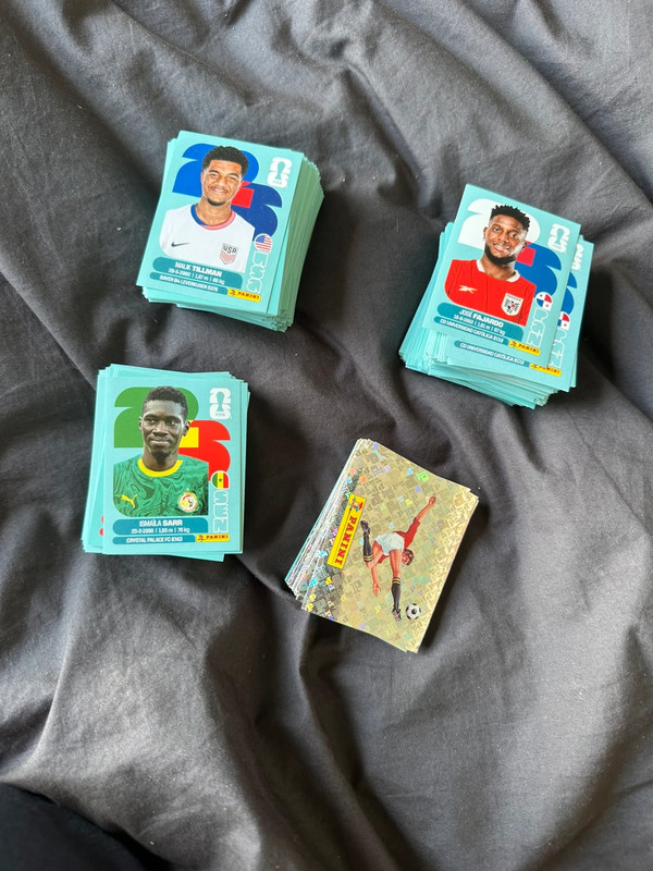 Paninis coupe du monde 2026