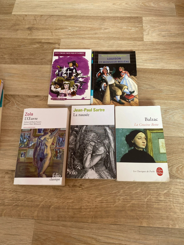 Lot de livres scolaire