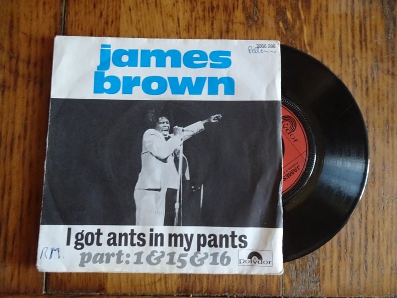•  Vinyle 45 Tours James Brown - I Got Ants In My Pants (1973)