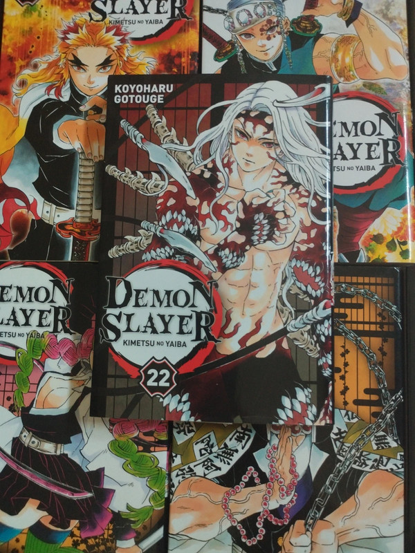 Demon Slayer t22