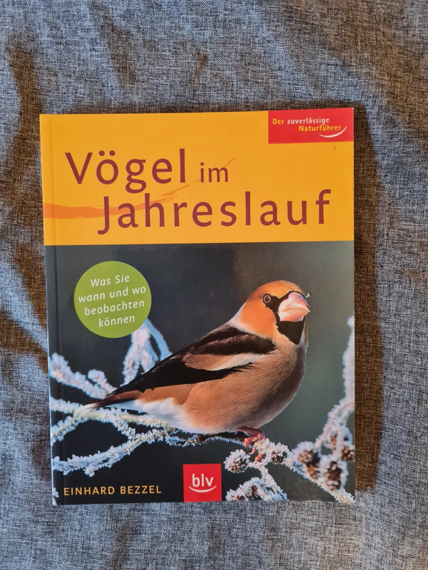 Vögel im Jahresverlauf