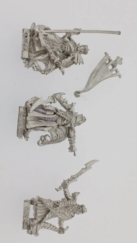 Dark Elf Black Ark Corsairs command